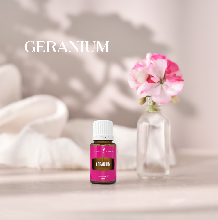 天竺葵 Geranium
