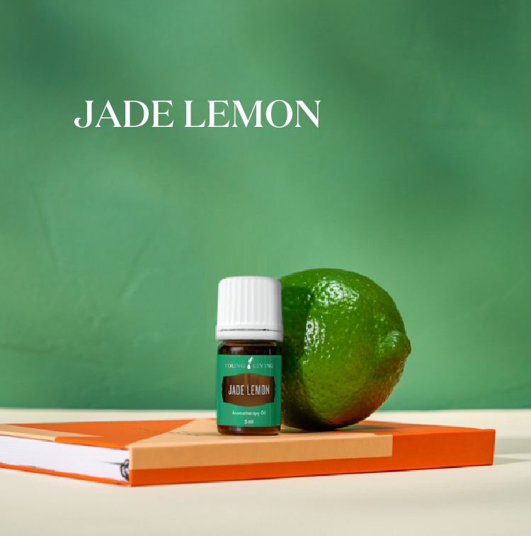 玉柠檬 Jade Lemon