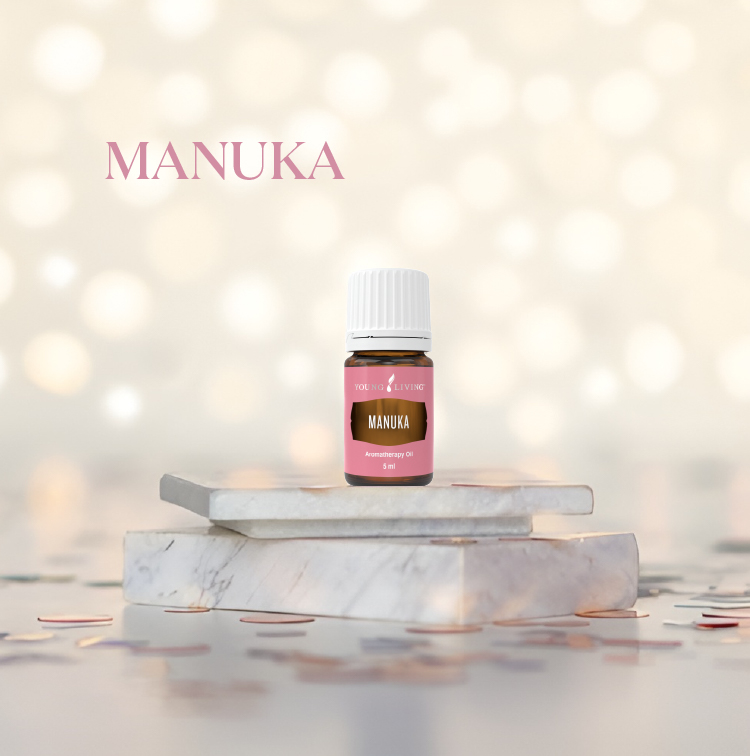 麦卢卡 Manuka
