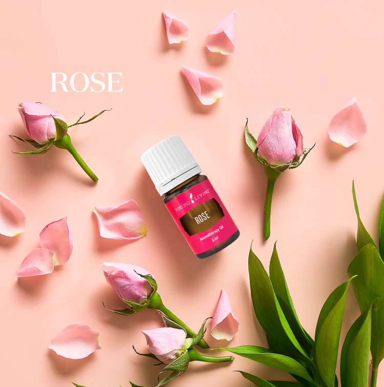 鍥剧墖
