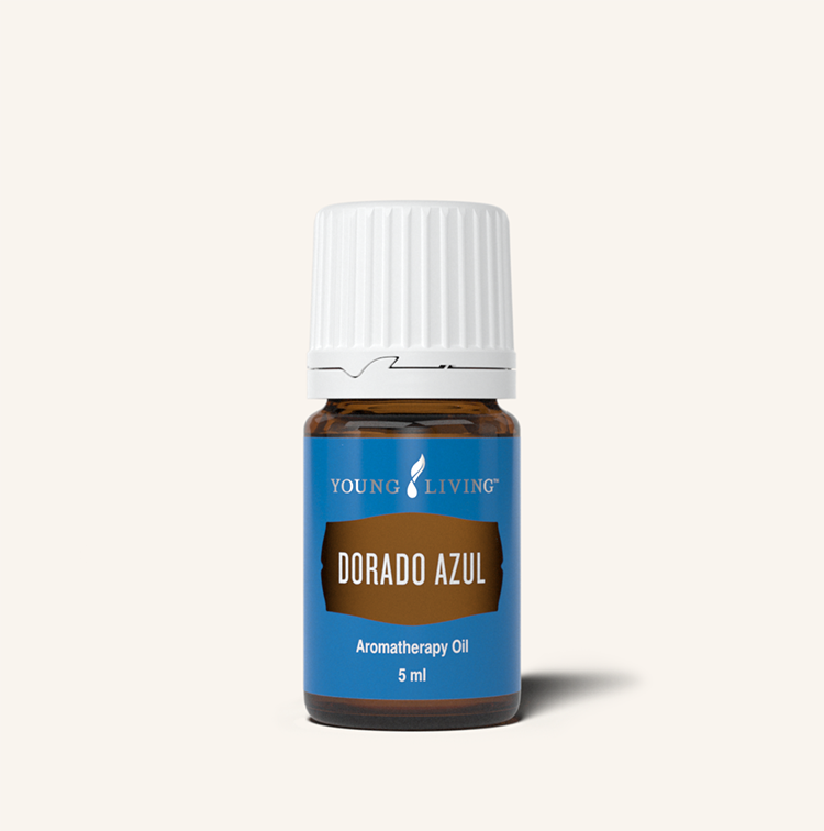 鍥剧墖