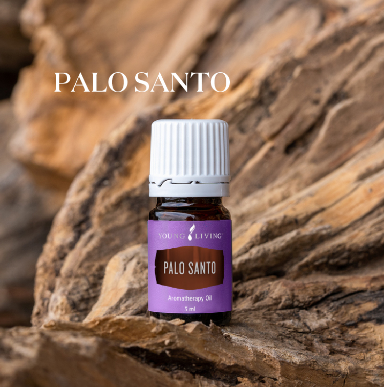 圣檀木 Palo Santo