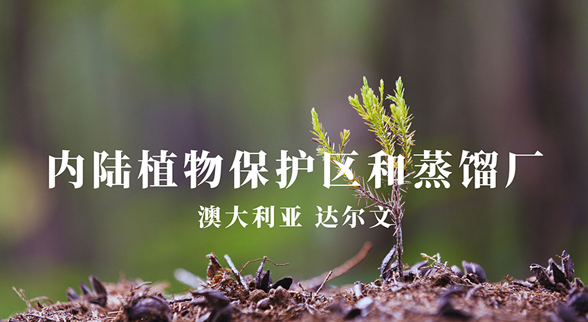内陆植物保护区和蒸馏厂
