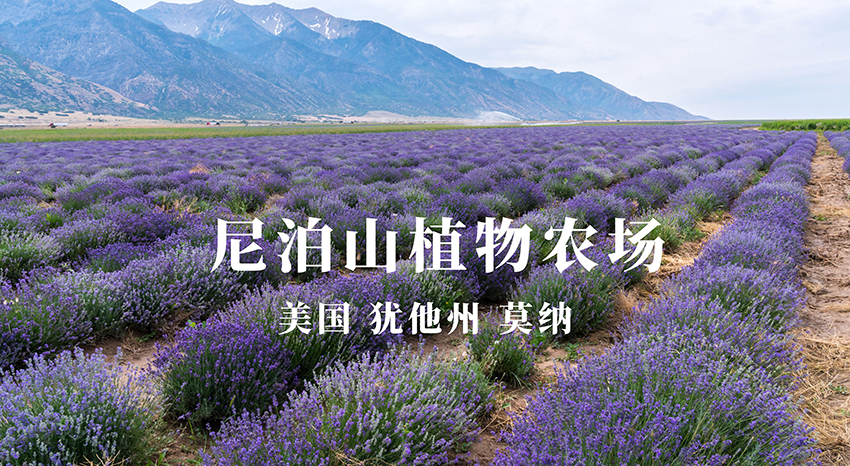 美国犹他州尼泊山植物农场