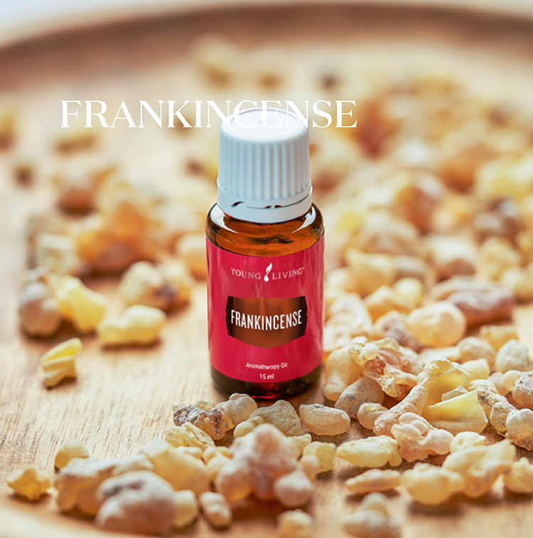 乳香 Frankincense
